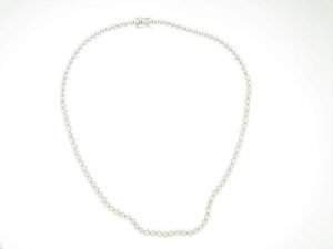 C13031 - Image 2