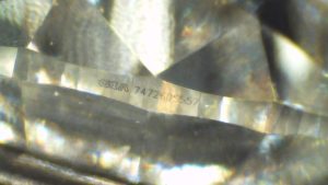 C13107 - Image 4
