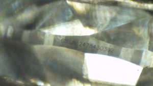 C13107 - Image 7