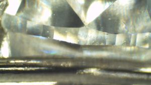 C15350 - Image 5