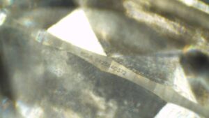 B96597 - Image 6