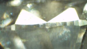 C13633 - Image 3
