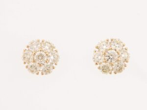 C25021